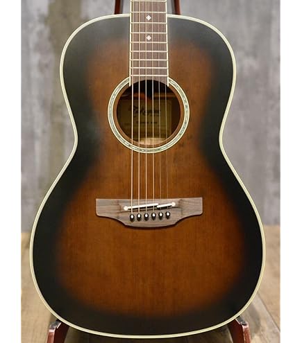 Amazon | TAKAMINE タカミネ DMP500 VTS エレアコ | エレアコギター