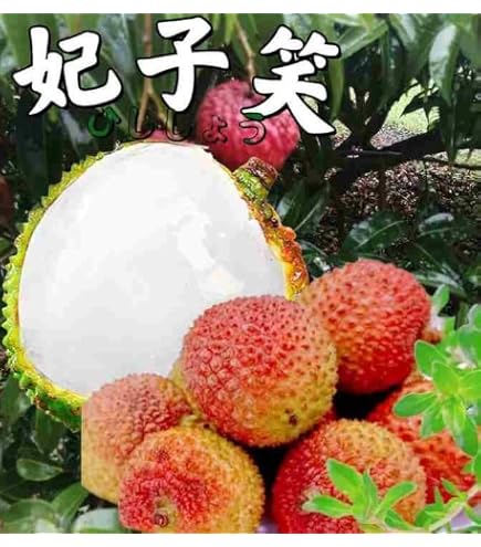 Amazon.co.jp: 生ライチ ベトナム産 1キロ トロピカルフルーツ 果物