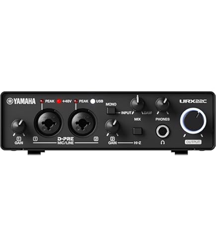 Steinberg UR22C USB Audio Interface, 32/192 KHZ : Amazon.sg