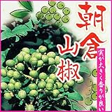 Amazon アーモンド苗木 苗 Amazon アーモンド苗木 苗