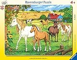 Horses in The Paddock Frame Puzzle 46-Piece [並行輸入品]