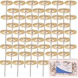 SPTA 38mm ステンレス鋼線ブラシ 研磨ブラシ 為に 1/8"（3mm）シャンク Dremel (ドレメル）Proxxon ロータリーツール--サンディング、研削、研磨 40個のパック [並行輸