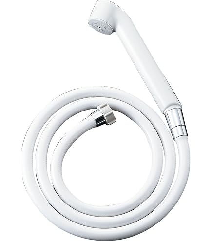 Amazon.co.jp: LIXIL（INAX） スイッチ付エコアクアシャワーSPA