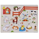 RaiFu 認知　おもちゃ　子供　木製　アーリー　ラーニング　ハンド　握り　パズル　おもちゃ　アルファベット　認知　ジグソー　パズル　ボード　30cm   A3006