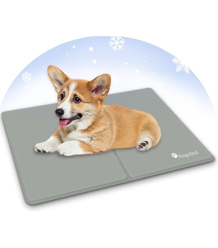 Amazon | マルカン ゴン太のクールひんやりアルミボード 2L 犬 Amazon | マルカン ゴン太のクールひんやりアルミボード 2L 犬