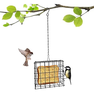 Amazon.co.jp 最新リリース: 鳥用品 の新着ランキングです。