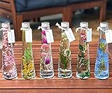 ビンの中におとじ込められたおしゃれな植物や花と液体 「ハーバリウム」（ハーバリューム） お祝い 誕生日プレゼントやインテリアに癒やしの空間 （フルカラー）