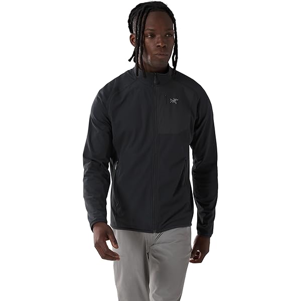 Amazon.co.jp: [アークテリクス] Rho LT Zip Neck Men's ロー LT