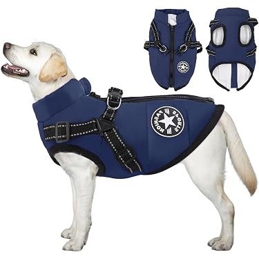 Amazon.co.jp 売れ筋ランキング: 犬用コート・ジャケット の中で最も