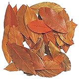 東京堂 クリスマス ドライフラワー カラーリーフ(30g入り) DT070106