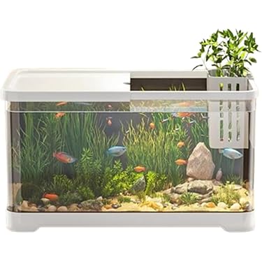 Amazon.co.jp ほしい物ランキング: 魚飼育セット で、ほしい物リストと
