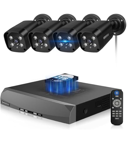 Amazon.co.jp: 【800万画素・双方向通話・赤青ランプ警告】WEILAILIFE