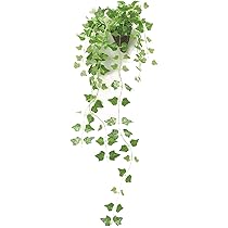 光触媒　人工観葉植物　ウォールグリーン　造花　インテリア　bettyAB 楽天市場】光触媒 観葉植物 壁掛け リアル フェイクグリーン