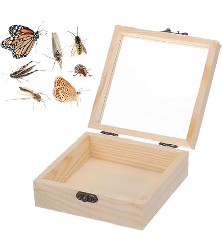 Amazon.co.jp: insectech 桐製標本箱：小型（ガラス蓋） : おもちゃ