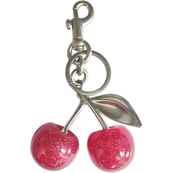 Amazon.co.jp: 2025年 チェリーバッグチャーム コーチバッグペンダント