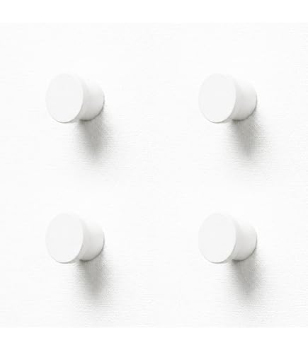 Amazon.co.jp: HAY GYM HOOK Lサイズ ヘイ ジムフック タヲル掛け