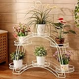 Plant shelf フラワーラック、アーチ型トレイラック、フラワーポットラック、リビングルームフラワーラック、アイアンフラワーラック Flower racks