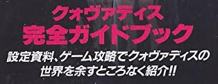 サターン攻略本『クォヴァディス 完全ガイドブック』で使われている【ゴナ】