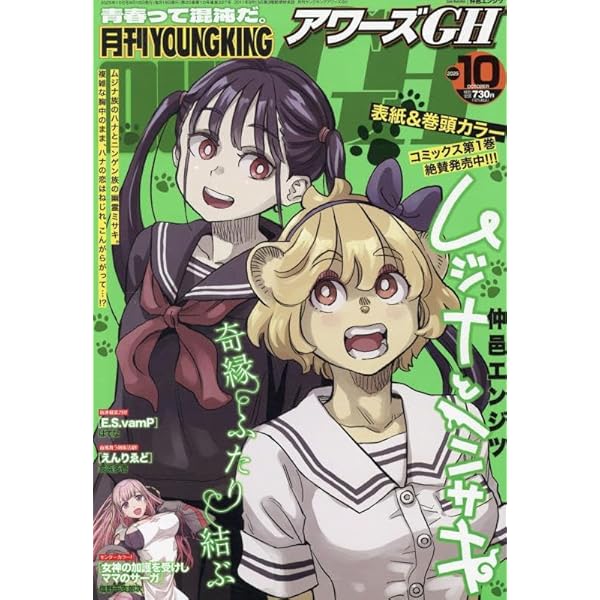 Amazon.co.jp: 月刊YOUNGKING OURs GH(ヤングキングアワーズGH) 2025年