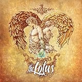 Providence of LUV