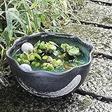 信楽焼 12号緑釉ハケメ花型 すいれん鉢 メダカ鉢 睡蓮鉢 スイレン鉢 金魚鉢 水鉢 陶器 su-0157 (緑色)