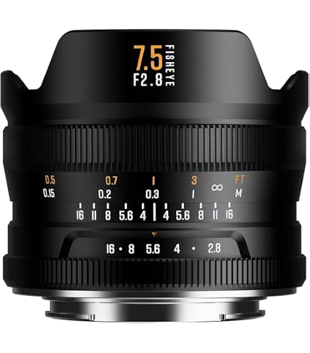 Amazon.co.jp: TTArtisan 11mm F2.8 単焦点レンズ 魚眼レンズ ソニーE