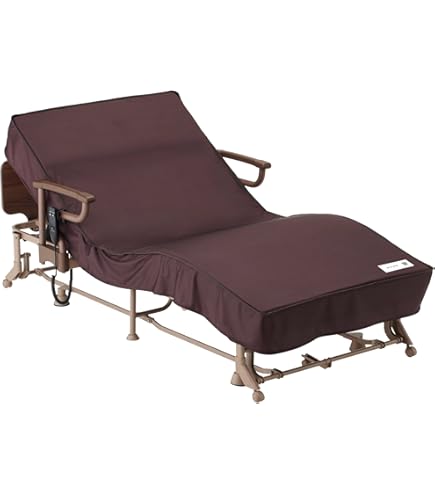 Amazon.co.jp: パラマウントベッド テストール～衝撃緩和マット～ / KE