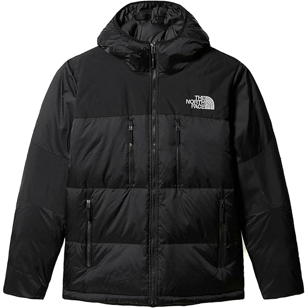 Amazon | (ザ ノースフェイス) THE NORTH FACE ロゴプリント