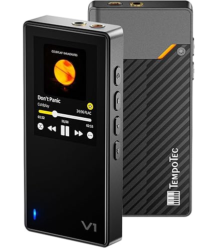 Amazon.co.jp: FIIO Snowsky ECHO MINI FIO-SSEMINI【日本正規販売店