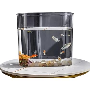Amazon.co.jp 最新リリース: 金魚鉢 の新着ランキングです。