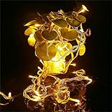 LED String Lights 100 leds 33 ft Starry twinkle flexible dimmable light for Christmas Thanksgiving D