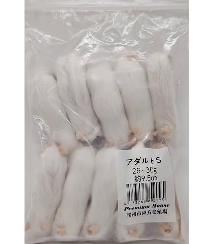 Amazon | 国産冷凍マウス (アダルトS/14g 10匹入り) 爬虫類 餌 猛禽類