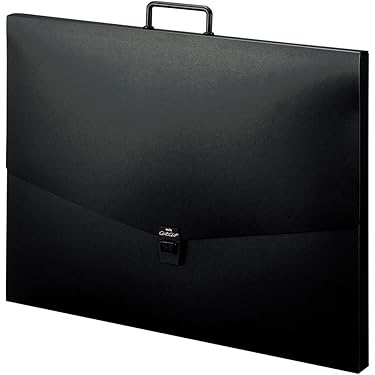 Amazon.co.jp 売れ筋ランキング: 図面ケース の中で最も人気の