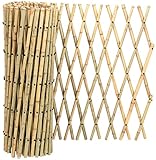 YATSUYA セミロング竹垣君 57038