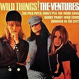 ���C���h�E�V���O�Y