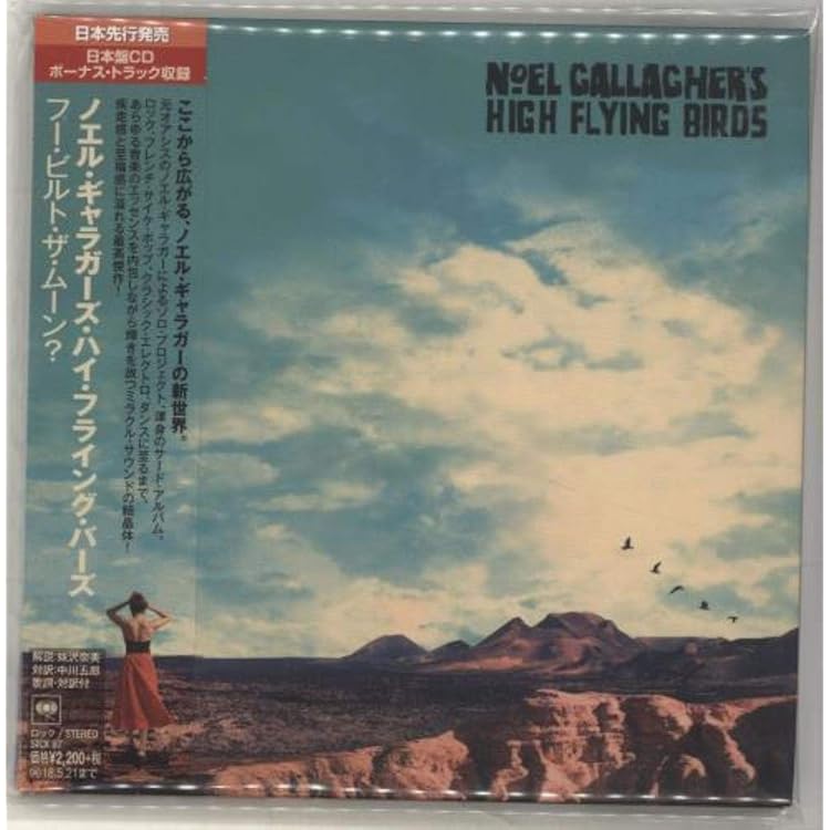 Amazon.co.jp: Noel Gallagher's High..: ミュージック