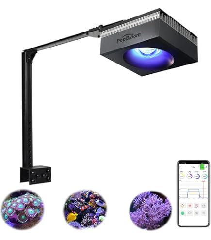 Amazon.co.jp: ZOOX アクロブースター 65W LED サンゴ SPS 400-480nm