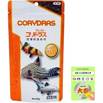 Amazon | テトラ (Tetra) テトラミン NEW 52g 熱帯魚の主食 水を汚さ