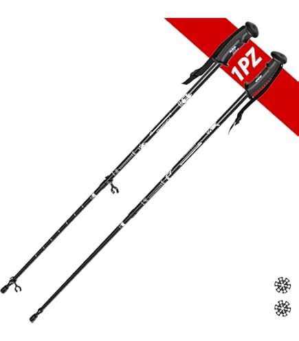 Amazon | LEKI カーボン14 3D 軽量カーボンスキーポール アルペン