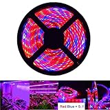 LED Strip Lights OUEVA 16.4ft/5M Plant Light Strip SMD 5050 Waterproof Grow Light Full Spectrum Rope