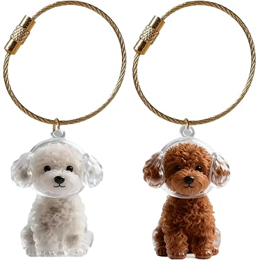 Amazon | DanYun 犬の毛 キーホルダー 2個セット 抜け毛収納