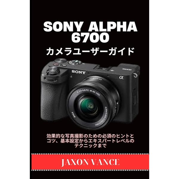 今すぐ使えるかんたんmini SONY α6600 基本&応用撮影ガイド | 山田芳文