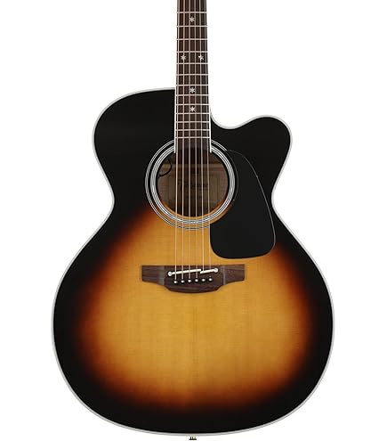 Amazon | TAKAMINE タカミネ DMP500 VTS エレアコ | エレアコギター