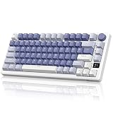RK ROYAL KLUDGE M75ゲーミングキーボード 無線、メカニカルキーボード、2.4GHzワイヤレス/ブルートゥース/USB-C有線英語配列ゲーミングキーボード75%、OLEDスマートディスプレイとノブ付き81キー、RGB、茶軸