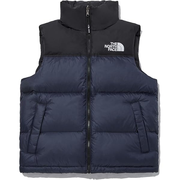 Amazon | (ノースフェイス) THE NORTH FACE メンズ LEWES T VEST