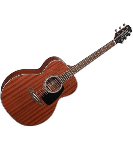 Amazon | Takamine DMP551C WR エレアコギター 500シリーズ (タカミネ