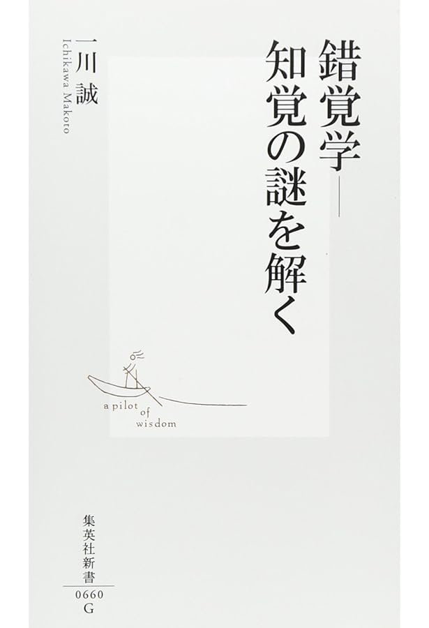 視覚世界の謎に迫る―脳と視覚の実験心理学 (ブルーバックス) | 山口