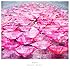 Aimer「Ref:rain / 眩いばかり(初回限定盤)」