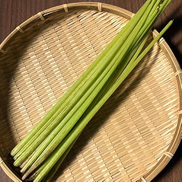 【特大量】 ふき フキ 新鮮 自然 10kg Amazon.co.jp: ラワンぶき200g(北海道足寄町産)足寄町の大自然で