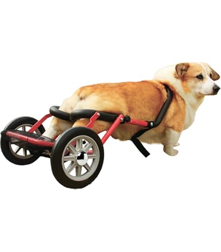 Amazon.co.jp: 犬 車椅子 前足をサポートする4輪犬用車椅子、 前足負傷